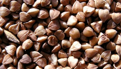 Buckwheat porridge for weight loss